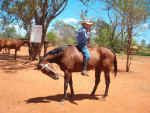 Jane trying to remember how to ride.