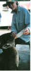 Vicki feeding Joey